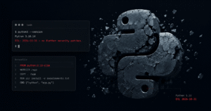 Fragmented Python 3.10 runtime environment with CLI output showing EOL status against dark background | EOLRadar